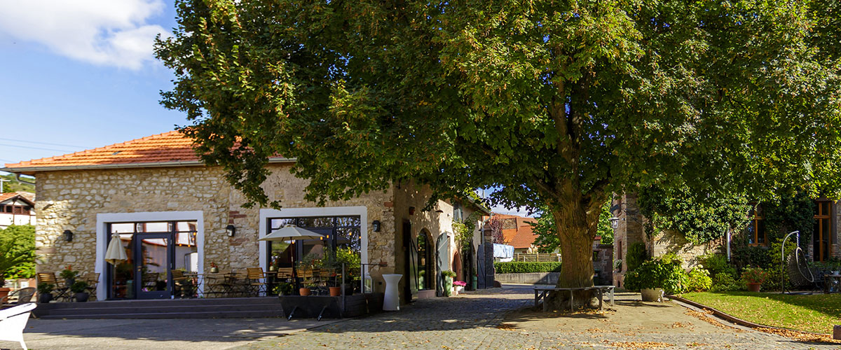 Bild vom Eingang zum Weingut Bremer
